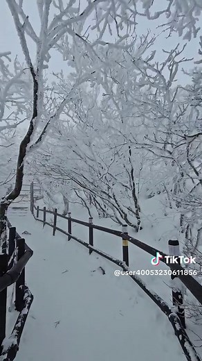 전북 무주 덕유산 눈꽃 탐방기