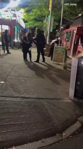 Brooklyn: Eastern Parkway & Utica Avenue, a woman got arrested for allegedly stealing from a store display at 1 a.m., and tried to roast the officer while being handcuffed.What happened next 👇