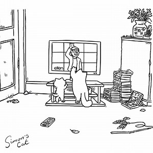 2M views · 74K reactions | To celebrate Ellen's 8th Annual Cat Week we're dedicating this special version of our black & white film 'Screen Grab'. 邏  ❤️ Ellen DeGeneres #catweek #EllenRateMyCat | Simon's Cat | Facebook