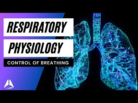 Respiratory physiology lecture 2 - control of breathing - Part 1 anaesthesia ANZCA exam