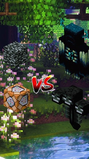Bedrock And Command Block Vs Warden And Wither ☠️#minecraft #shorts