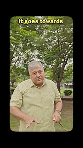 34K views · 1.1K reactions | Peepal trees need space to grow Highways and open lands are the best places for them to grow without causing damage.[Peepal Baba, Peepal Baba Says, peepal tree, open spaces, grow with care, save nature, walls, highways, nursery, technology, urban forestry, afforestation, Peepal Baba Foundation] | Peepal Baba | Facebook