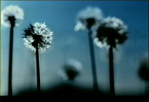 O2 'See What You Can Do' Advert (2002)