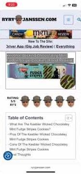 Keebler Wicked Chocolatly Minty Fudge Stripe Cookies Review