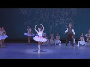 Don Quixote | Dulcinea variation