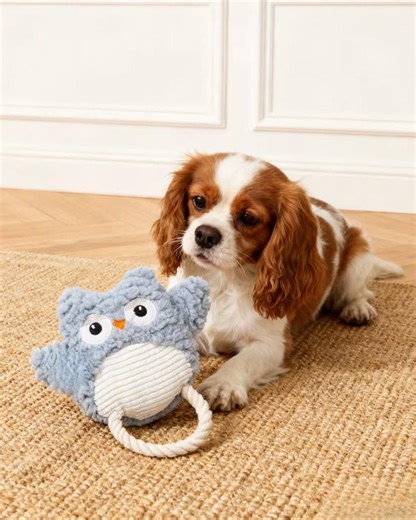 Interactive Owl Dog Toy, Squeaky Plush With Rope for Tugging & Chewing - Etsy