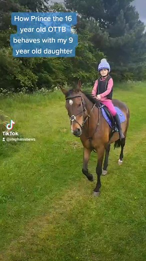 oh prince 🤣 #PerfectPartner #horsesoftiktok #fyp #thoroughbred #exracer