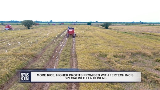 7.1K views · 104 reactions | Rice is one of Guyana’s major agricultural exports but a new agriculture technology company believes that local production can potentially double, without using any additional land, once the plants are given the right mixture of nutrients. The new company is known as FerTech Inc and its majority shareholder Haresh Tewari has touted the benefits possible from the marriage of scientific research and agriculture. | News Room | Facebook