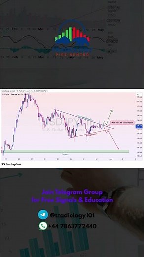 🎯 Daily Forex Outlook — EURUSD & Gold Levels | Tradiology