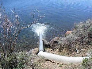 Anybody interested in a few rainbow trout? Just delivered today... | Fish Lake Resorts | Fish Lake, Utah