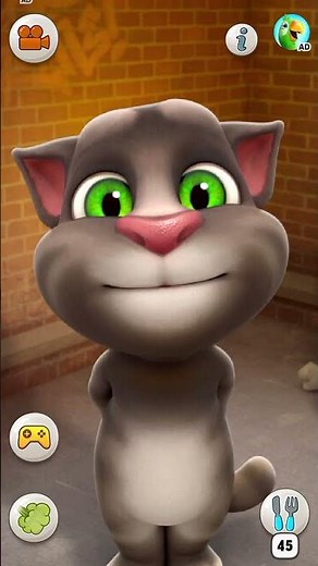 Talking tom cat
