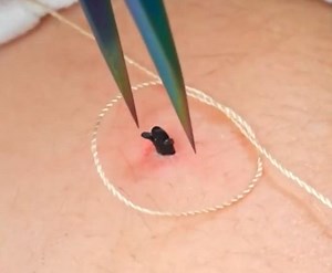 3.3M views · 6.6K reactions | Ultimate beauty hacks that worth your attention! | 5-Minute Crafts | Facebook