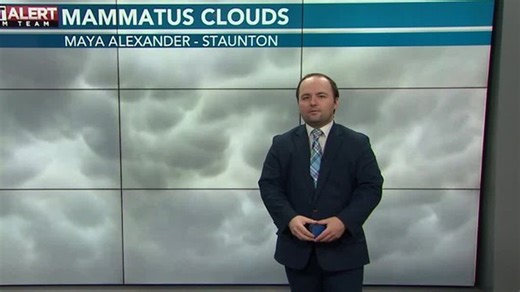 First Alert: Mid-day update 3.17.26 | Haystack News