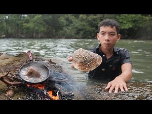 Snail Catching, Cooking and Eating | Snail Healthy Recipe with Coconut water | Wilderness Food