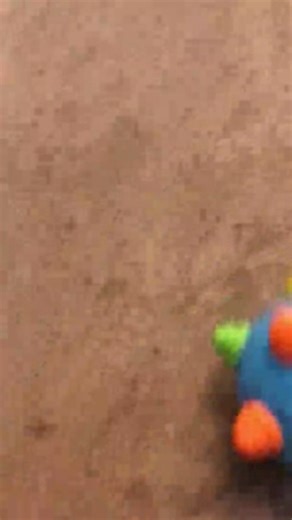 Watch Toddlers Baby Music Shake Dancing Ball Toy, Move and Crawl Ball Toys for Kids,Bouncing Sensory Learn on Amazon Live