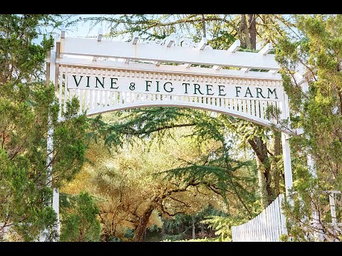 Vine & Fig Tree Farm - 2455 Sulphur Springs Avenue