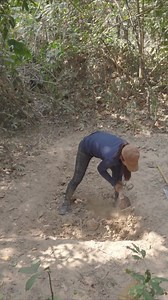 2.1K views · 48 reactions | survival girl,camping,bushcraft survival,dugout shelter,survival build,how to build,primitive technology,building a house,girl survival,living alone,living off grid,Survival Girl,Building a Modern Private House One the Best in Jungle for Living Alone Long Time,modern house,private house,house building,i built a house,one of the best | Tube Unique Survival | Facebook