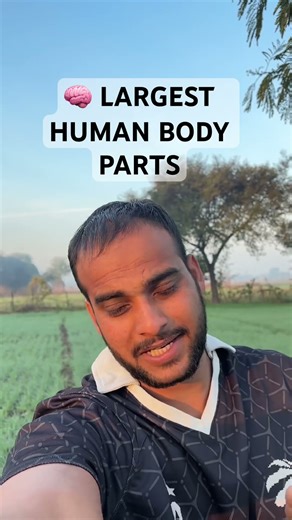 🧠 LARGEST HUMAN BODY PARTS