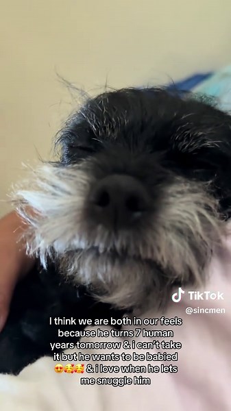 My dog cuddling is a rare occurrence! But I LOVE IT.