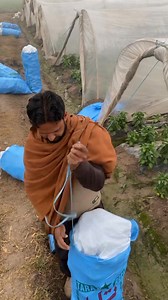 #ForYou #Vitality #Farming | Anas farmers