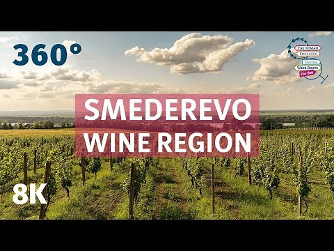 Smederevo Wine Region: A Golden Hill by the Danube (Serbia) - VR 360