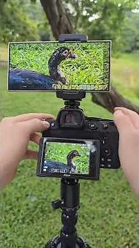 Top 5 best Camera Phones in the World 2026