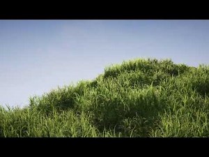 Realistic Grass Pack ue4