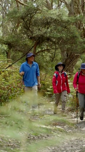 2.7K views · 38 reactions | Did you know that the Great Ocean Walk traverses 110km's along the coast between Apollo Bay and the 12 Apostles? You can embrace the ultimate eight-day challenge or choose a smaller section of the walk for a full or half day. Self guide and camp or join a tour with accommodation, the choice is yours! | Visit the Great Ocean Road | Facebook