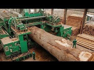 Inside a Wood Factory: The Process of Creating Plywood from Logs |Inside The Factory