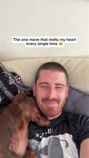 The Most Adorable Dachshund Moments