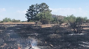 1,000 residents forced to evacuate in Arizona Ocotillo brush fire