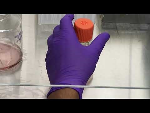 Thawing CHO cells