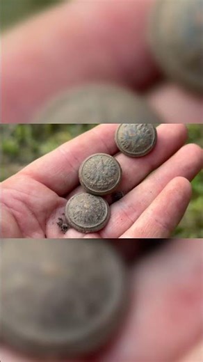 Rare Austrian Eagle Buttons Found in Battle Area