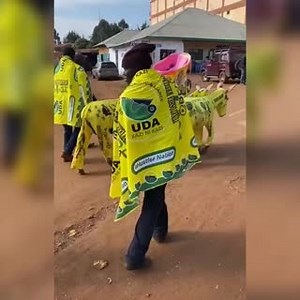 Kenyan dresses donkeys with UDA-branded outfits to popularise the party | Standard Digital
