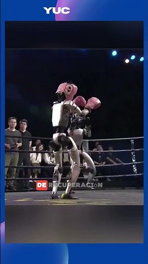 Robots humanoides protagonizan histórica pelea de boxeo en China