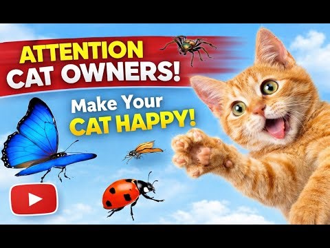 Bug Video for Cats 🐛 | Cats Go Crazy Watching Insects | Cat TV 4K