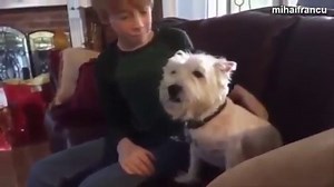 Funny Angry Dogs Barking And Growling Compilation 2014 Dog Barking Videos