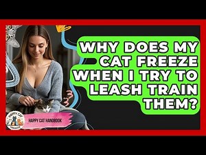 Why Does My Cat Freeze When I Try To Leash Train Them? - Happy Cat Handbook