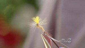 Tying up a Sulfur Emerger Dry Fly