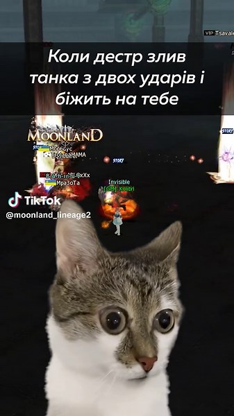 Destroyer vs Tank: Epic Two-Hit Showdown in MMORPG