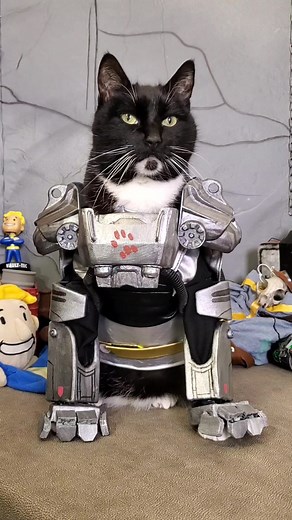 "It's said war, war never changes. Cats do, through the furniture they... | cats costume