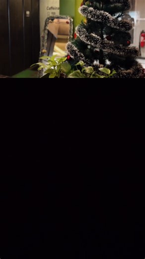 🪐🌴 on Instagram: "📍@brewcircle🎅🏼🎄… . . . . #reels #fypppppppppppppppppppppppppppppppppppppppppppppppppppppppppppppppppppppp #cafe #christmas #cafe"