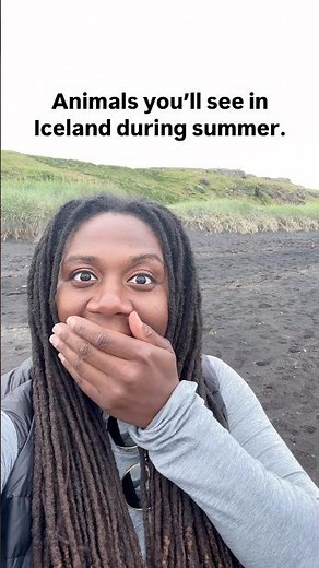 Animals You’ll See in Iceland