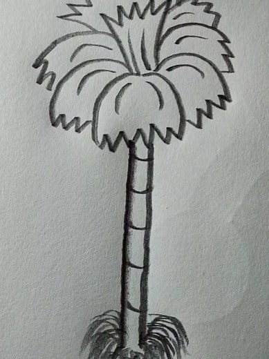 How to Draw a Palm Tree Step-by-Step