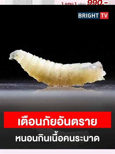 เตือนภัยหนอนกินเนื้อคนระบาดในสหรัฐฯ