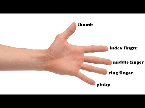 Finger Names and Hand Parts