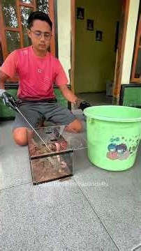 CLEANING THE COBRA ENCLOSURE #cobra #reptiles #reptilekeeper