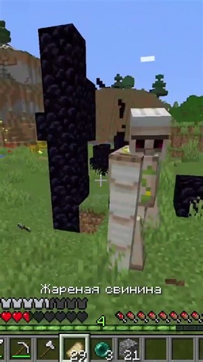 0_0 #minecraft #майнкрафт