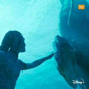 20K views · 3.1K reactions | The wait is finally over. Stream Avatar: The Way of Water now on Disney+. Sign up now. | Disney+ | Facebook
