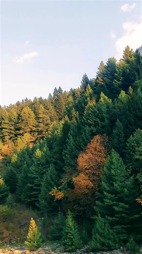 58K views · 1.9K reactions | Explore Kashmir's Scenic Landscapes and Natural Beauty #Kashmir #viral #ScenicViews #tourism #adventure #travel #mountainslovers | Unexplored beauty of nature | Facebook